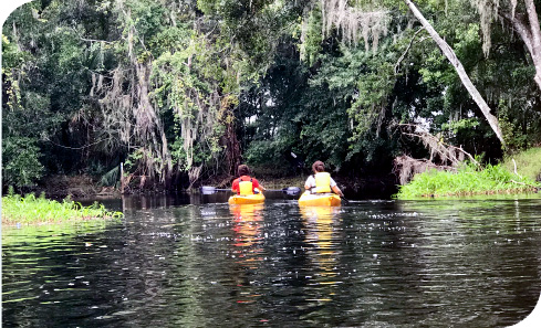 Two people canoeing or kayaking through a nice calm lake with trees overhanging